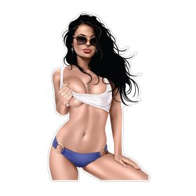 pinup_aufkleber_sexy_girl_sunglases