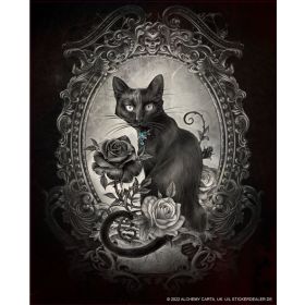 Alchemy Aufkleber Paracelsus Black Cat