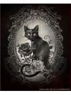 Alchemy Aufkleber Paracelsus Black Cat