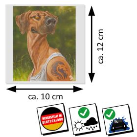 hunde-aufkleber-archie-by-krüger