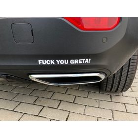 Aufkleber Fuck You Greta! silber